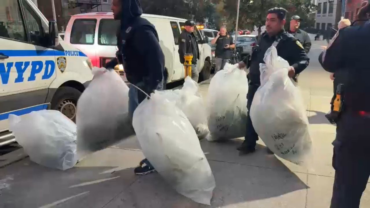30 Marijuana Plants Found in Suspected Bronx Grow House During Eviction