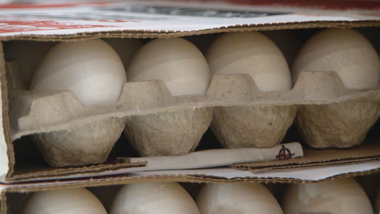 Honolulu Egg Prices Rise More Than 11% in One Year, Report Finds