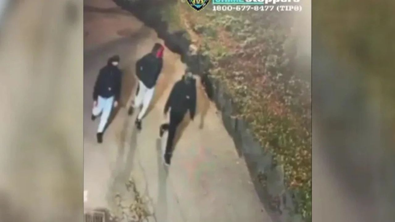 NYPD Searches for 3 Suspects After Woman Attacked in Central Park